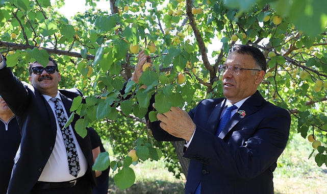 Iğdır Üniversitesi&#039;nden &quot;Kayısı Hasadı Etkinliği&quot;: Bölge Tarımına Destek Vurgusu