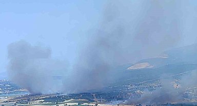 İzmir Kınık'taki Orman Yangını Kontrol Altında!