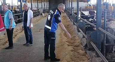 Kartepe'de Kurban Bayramı Öncesi Sıkı Denetim: Küpesiz ve Damızlık Hayvan Kesimi Yasak!