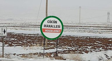 Kayseri Tomarza'da Kene Korkusu: Bir Kişi Daha Hastaneye Başvurdu