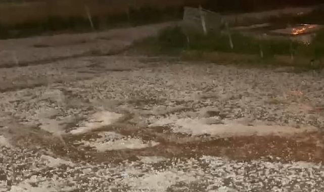 Kelkit&#039;i Beyaza Bürüyen Dolu Yağışı Tarım Arazilerine Zarar Verdi
