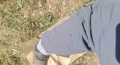 "Keneler, köpekler gibi koku alıp üzerimize geliyor"