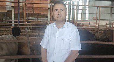 Kurbanlık dananın fotoğrafını çekerken canından oldu
