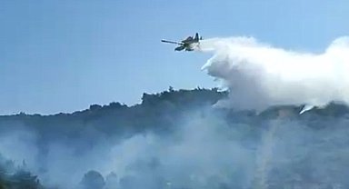 Kuşadası'nda Orman Yangını Kontrol Altına Alındı
