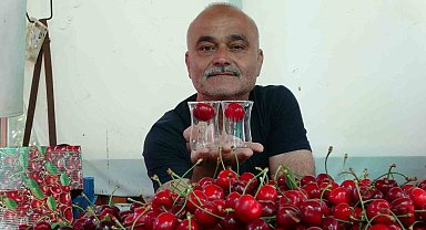 Lapseki'nin "Bardağa Sığmayan" Kirazları Piyasaya Çıktı: Fiyatlar Uçuşa Geçti!