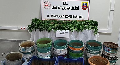 Malatya'da jandarmadan uyuşturucu operasyonu: 6 gözaltı