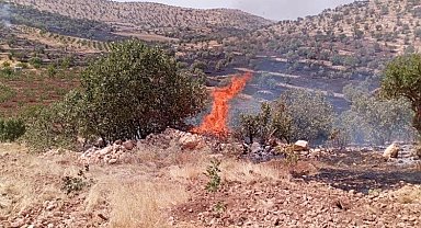 Mardin'de Anız ve Orman Yangınları Kontrol Altına Alındı