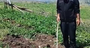 "Oğlum Ben Sizin Kaleminizi Kırdım!" Elazığlı Çiftçiden Domuzlara Komik Sitem