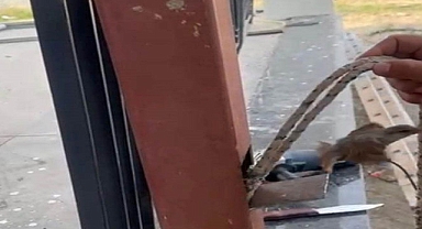Osmaniye'de İtfaiyecilik Dersi: Demire Sıkışan Serçeyi Ustalar Kurtardı!