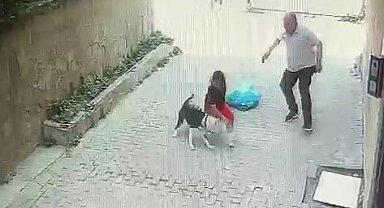 Pitbull cinsi köpeğin çocuğa saldırdığı anlar kamerada