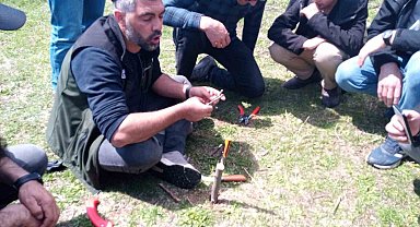 Posof'ta Meyve Ağaçları Budama ve Aşılama Kursu Tamamlandı: Azalan Çeşitliliğe Karşı Bilgi ve Beceri Artırılıyor