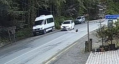 Rize'de Otomobil Saniyelerle Kaya Düşmesinden Kurtuldu