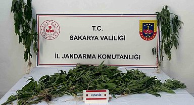 Sakarya'da Uyuşturucu Operasyonu: 3 Kişi Tutuklandı