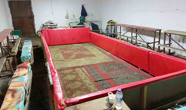 Samsun Tekkeköy'de Horoz Dövüşü Baskını: 17 Horoz Kurtarıldı, 129 Bin TL Ceza Kesildi
