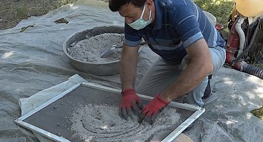 Samsunlu Fındık Üreticisi Kahverengi Kokarcayla Külle Mücadele Ediyor