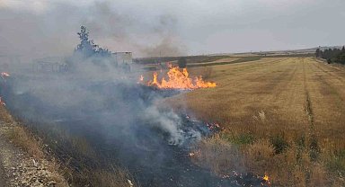 Şanlıurfa'da orman yangını: Alevlerin petrol istasyonuna sıçramaması için seferber oldular
