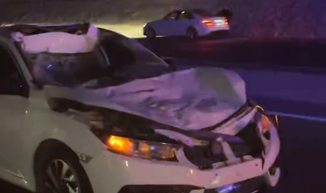 Siirt&#039;te Otomobil İneğe Çarptı: 3 Yaralı, 1 Telef