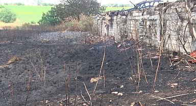 Silivri'de sigara izmariti 30 dönüm buğdayı küle çevirdi