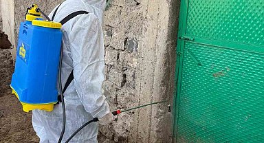 Şırnak Güçlükonak'ta Şap Hastalığı Alarmı: Hayvan Hareketleri Kısıtlandı