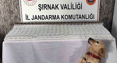 Şırnak'ta Kaçakçılık Operasyonları: 281 Bin TL Değerinde Malzeme Ele Geçirildi