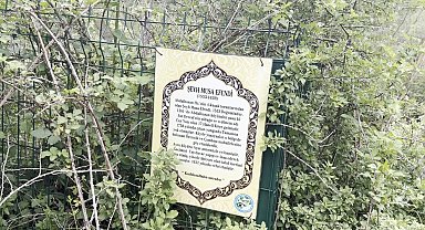Taşköprü'deki Şeyh Musa Dede Türbesi Yok Olma Tehlikesinde: Bakımsızlık ve Definecilerin Hedefi Oldu