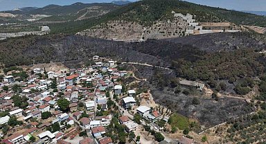 Zümrüt yeşili orman manzaraları kömürlüğe döndü