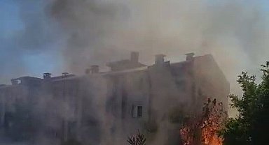 Adıyaman'da Anız Yangını Bahçelere Sıçradı: Meyve Ağaçları Kül Oldu!