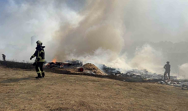 Ağaçlık alan ve gecekonduya sıçrayan yangın söndürüldü