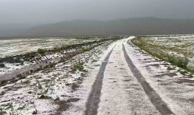Ardahan&#039;da Dolu Şoku: Ekili Araziler Zarar Gördü