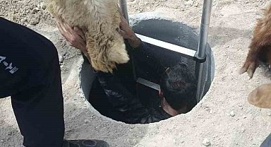 Baskil'de Kuyuya Düşen Keçi ve Koyunları İtfaiye Kurtardı