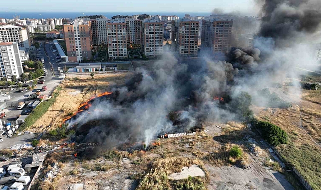 Beylikdüzü&#039;ndeki otluk alan yangını kontrol altına alındı
