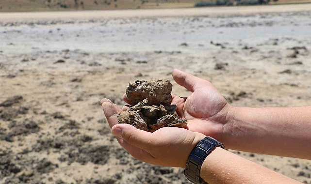 Bingöl Gölü kurudu, kuş sesleri yerini sessizliğe bıraktı