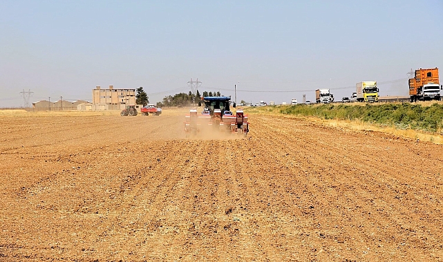 Dicle Elektrik&#039;ten Mısır Üreticilerine Uyarı: &quot;Kaçak Sulama Hem Suyu Hem Enerjiyi Tehdit Ediyor&quot;