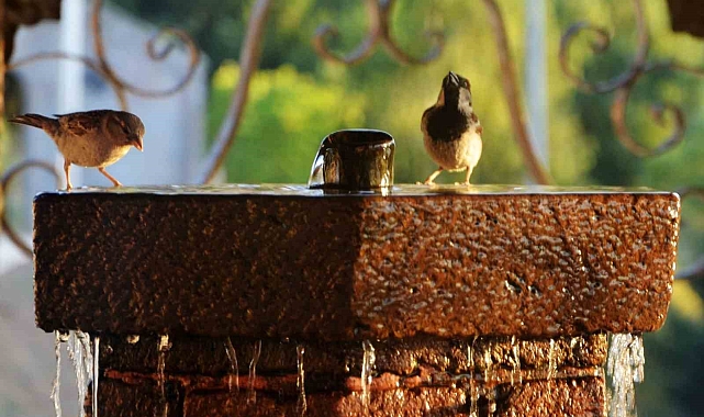 Erzurum&#039;da Hava Sıcaklıkları Mevsim Normallerinin Üzerine Çıkacak: Vatandaşlara Uyarı