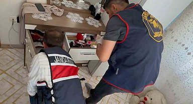 Gaziantep'te Tefecilik ve Yağma Çetesine Şafak Operasyonu: 6 Tutuklama