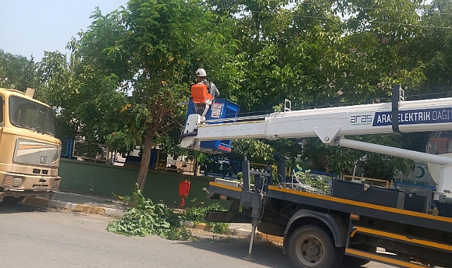 Halfeli&#039;de Elektrik Hatlarına Yakın Ağaçlar Budandı
