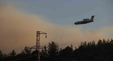 İzmir Buca'da Orman Yangını: 3 İşçi Dumandan Etkilendi, 2 Şüpheli Gözaltında