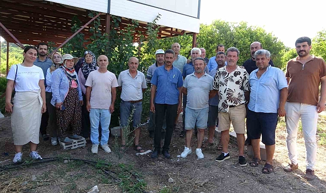 Mersin&#039;de Arazi Dolandırıcılığı Şoku: Köylüler Mağdur, Yetkililere Çağrı