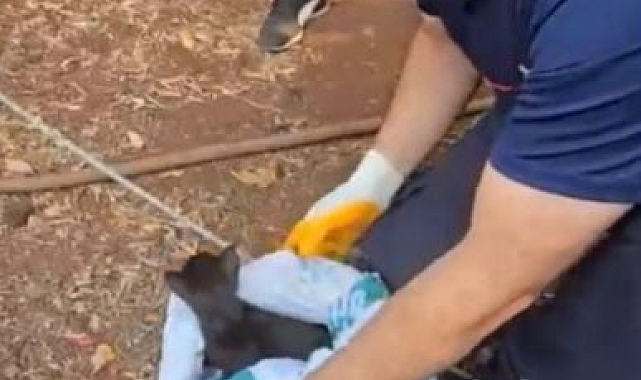 Osmaniye&#039;de 18 Metrelik Kuyudan Kurtarılan Yavru Kediye Alkışlı Kurtarma!