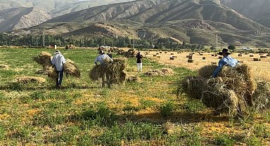 Yüksekova'da Çiftçiler Kış Hazırlığı İçin Kızgın Güneş Altında Ot Biçiyor