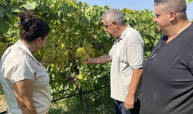 40 Yaşında Üniversiteye Başlayan Kadın Girişimci, Eşiyle Birlikte Kalıntısız Üzüm Yetiştirmeyi Başardı