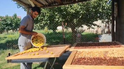 Iğdır'da Aile Bütçesine Güneş Katkısı: Meyveler Kurutulup Pazarda Satılıyor