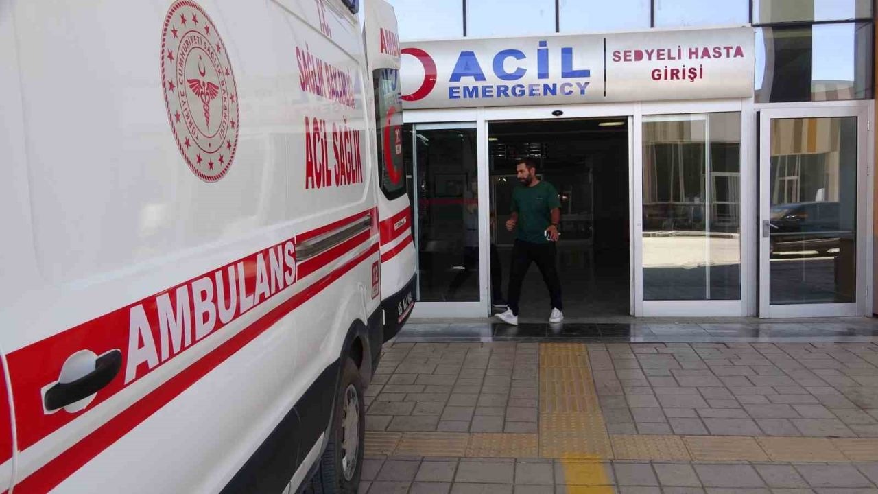 Van&#039;da Sıcak Çarpması Vakaları Artıyor: Uzmanlardan Önemli Uyarılar