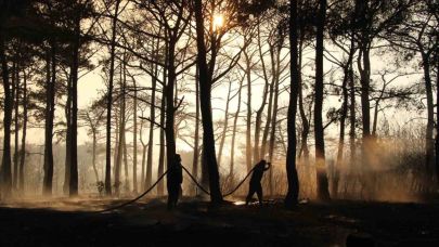 Çanakkale’deki Orman Yangını Büyük Ölçüde Kontrol Altında