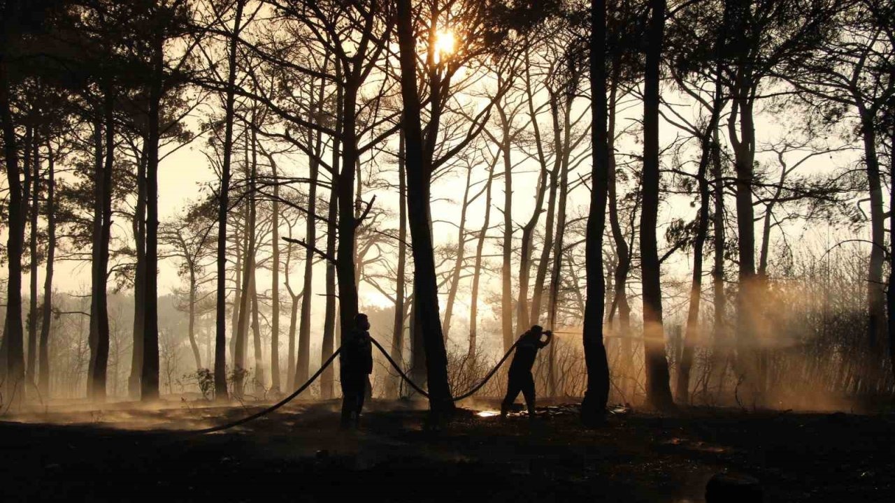 Çanakkale’deki Orman Yangını Büyük Ölçüde Kontrol Altında