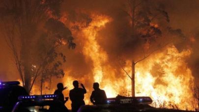 İspanya’da Orman Yangınları Can Aldı: 1 Ölü, Bin Hektar Kül Oldu