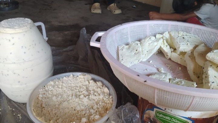 Ağrı&#039;nın Geleneksel Küp Peyniri: Kumda Olgunlaşan Lezzet