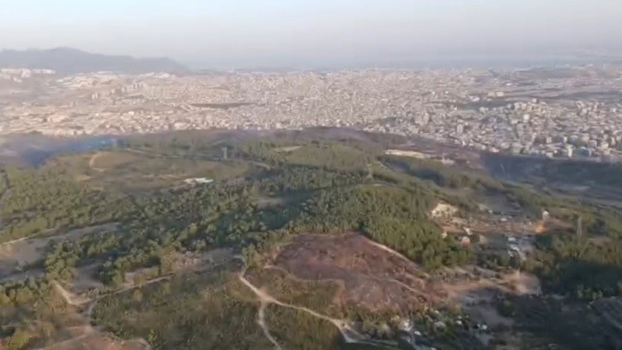 İzmir&#039;deki Orman Yangınına Havadan Müdahale Yeniden Başladı