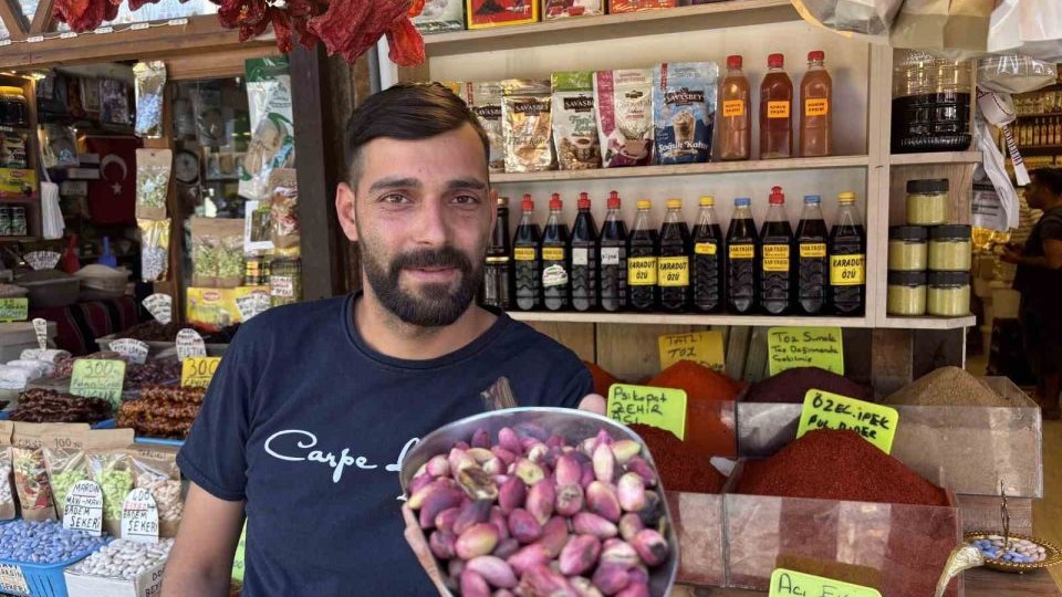 Gaziantep&#039;te Taze Ben Fıstık Hasadı Başladı: Fiyatlar Yüksekten Açtı