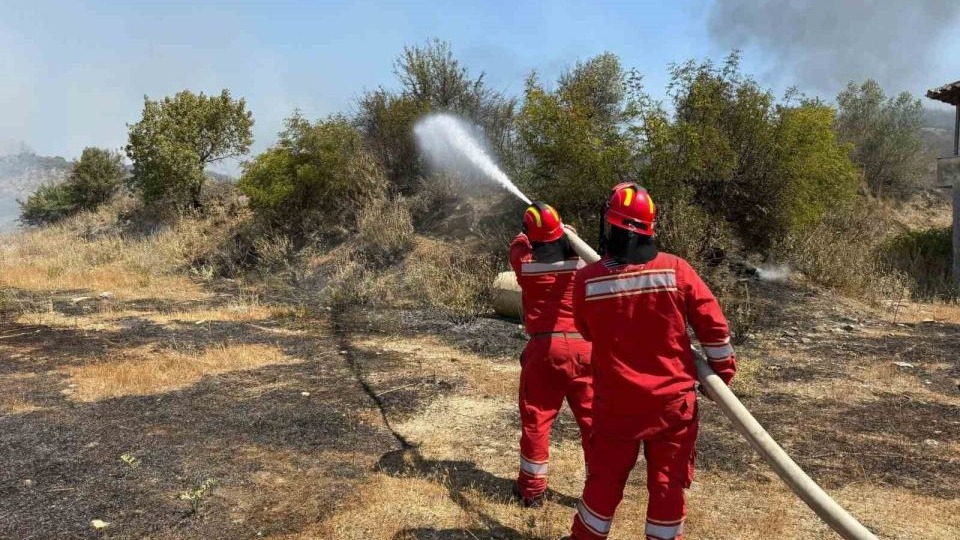 Arnavutluk&#039;ta Orman Yangınları: 1 Ölü, 8 Yaralı